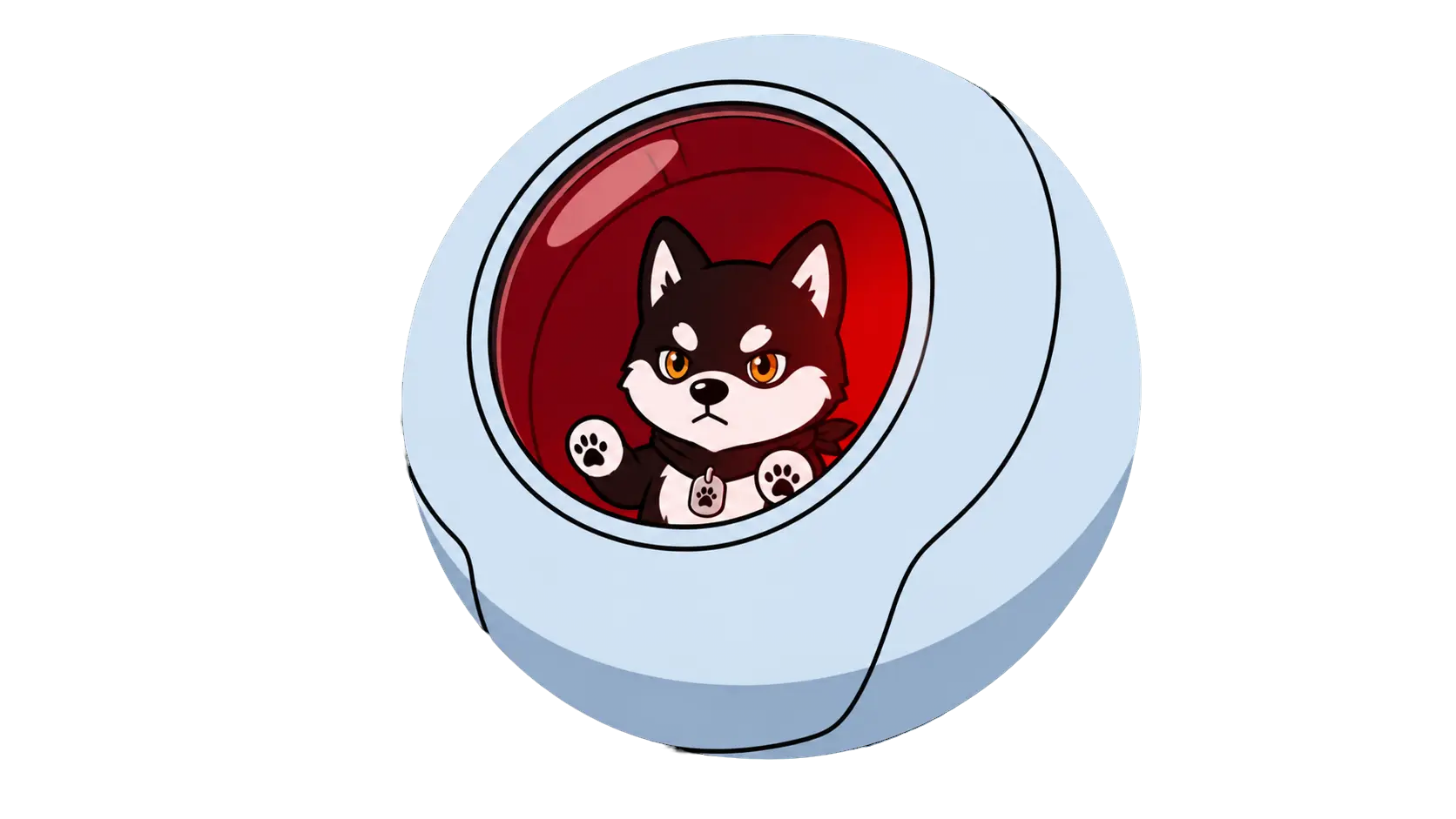 Front portrait of the black Shiba survivor